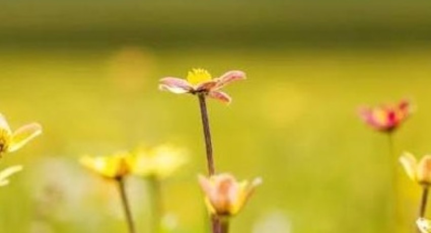 热点企划局 - 色花堂最新入口 - 实时热点营销创意策划方案库